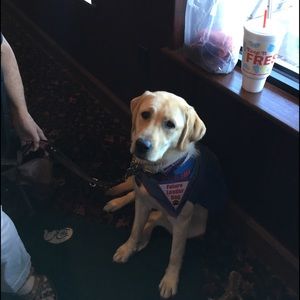 Meet your Posher, Cheyenne